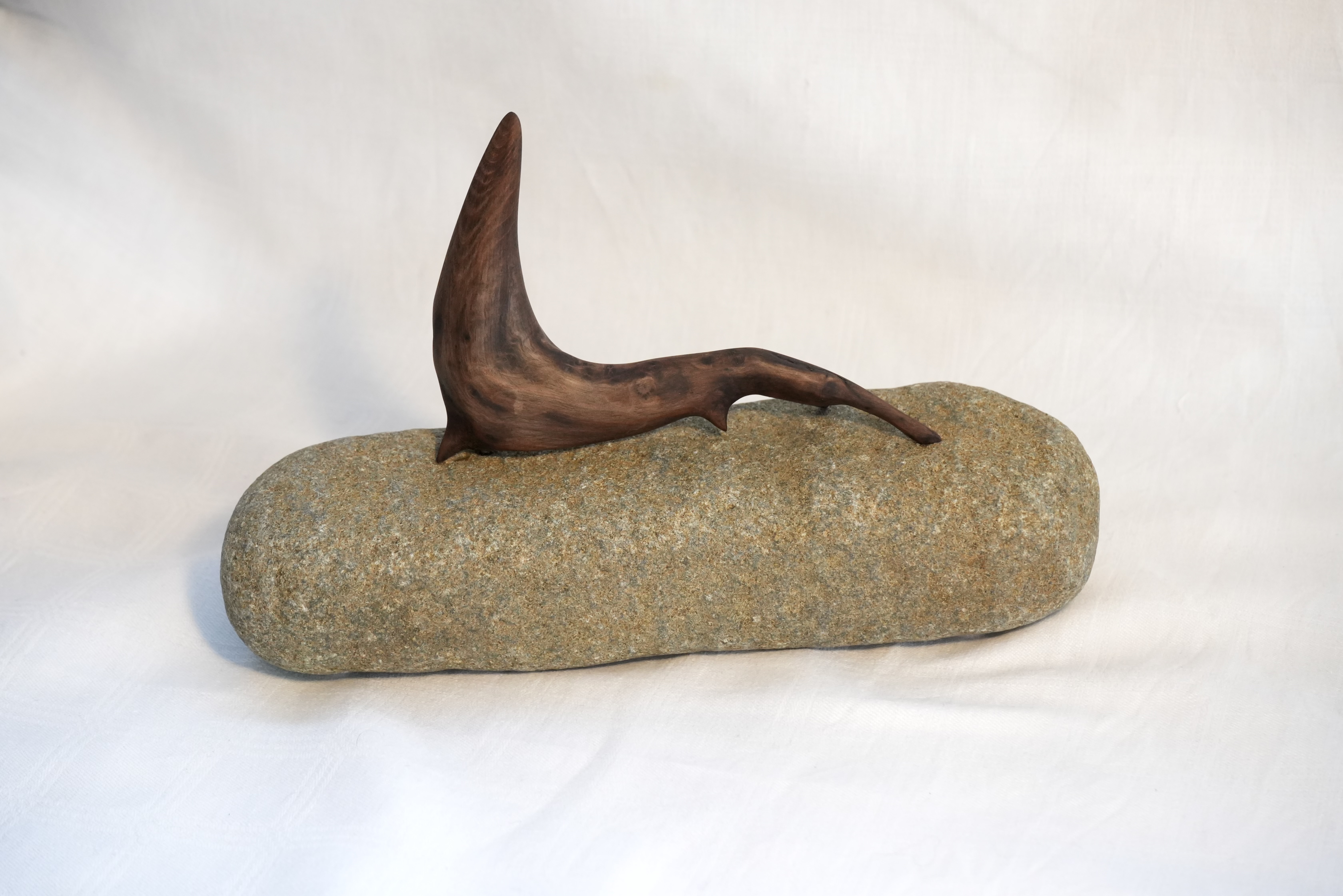 Seal 2