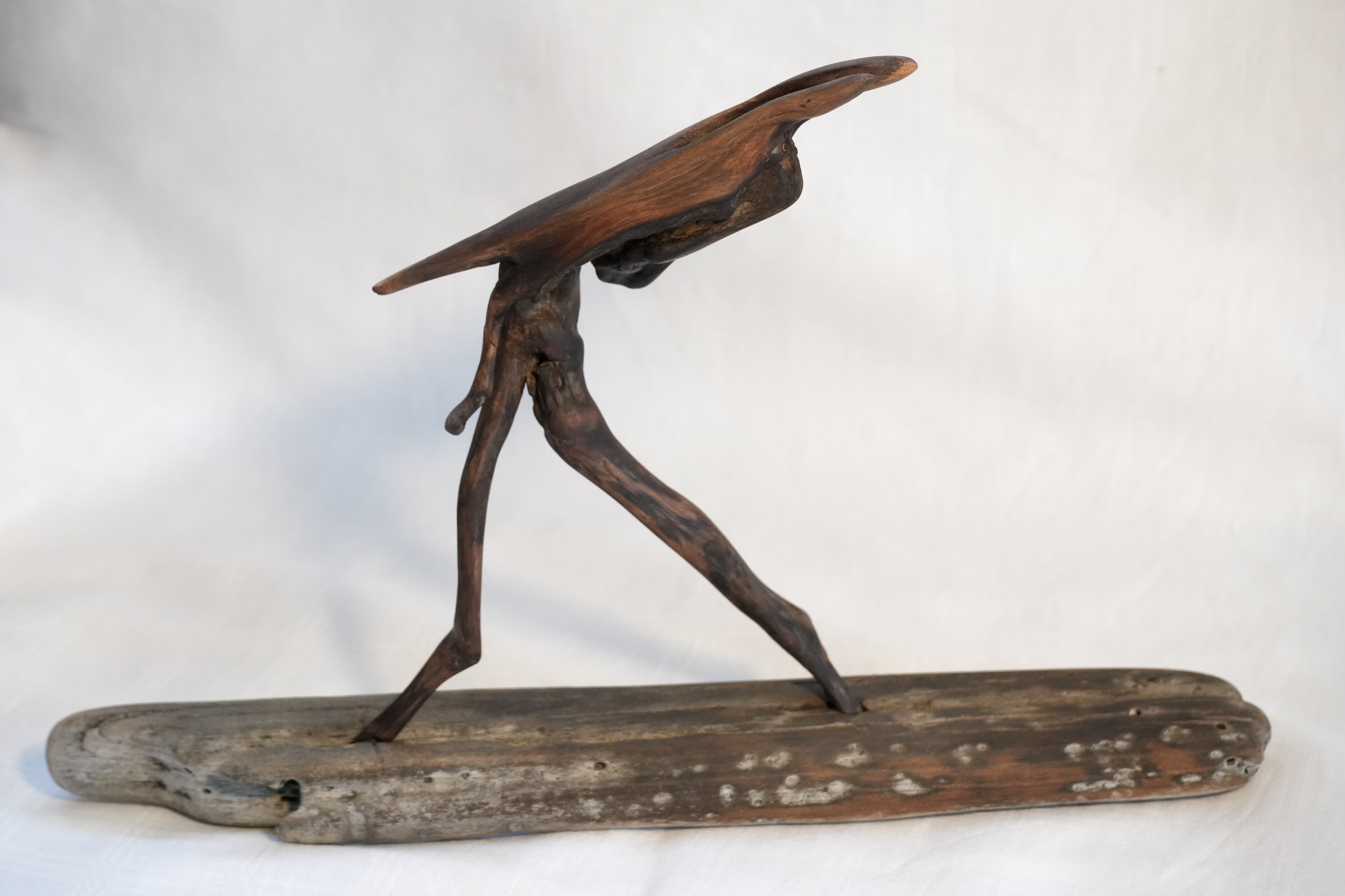 Surfer 1